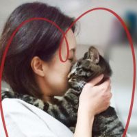 Smiley Catsさん