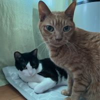 茶太郎&ミネットさん