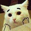 会員画像
