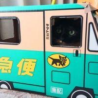 めそ 会員画像