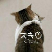 ソラ33 会員画像