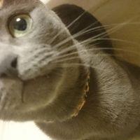 会員画像