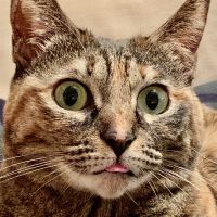 ふにゃ 会員画像