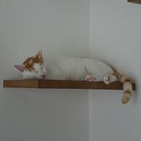 会員画像