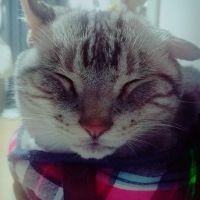 会員画像