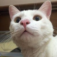 おおとも 会員画像