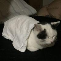 うしたろう 会員画像