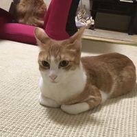会員画像