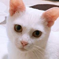もっち-0113 会員画像