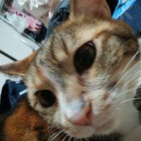 会員画像
