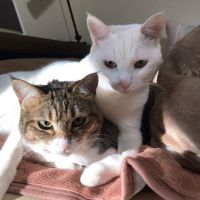 会員画像