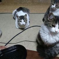 豊橋のまっちゃん 会員画像