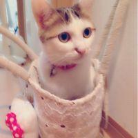 会員画像