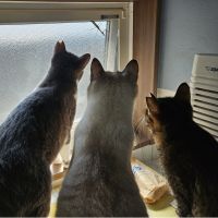 みーねーさんさん