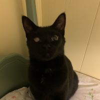 会員画像