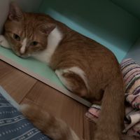 ニットさん