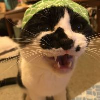 けーてんさん