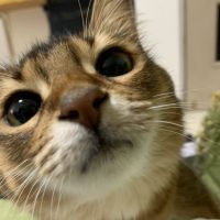 キリミ 会員画像