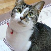 エイミー 会員画像