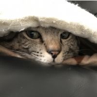 会員画像