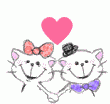 たぴこ 会員画像