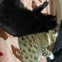 きラ 会員画像