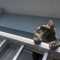 たぐこた 会員画像