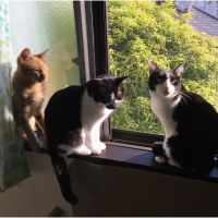 まんきち かい 会員画像