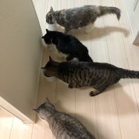 会員画像
