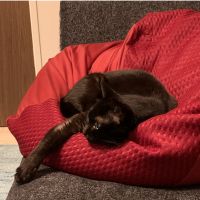 MARY1770 会員画像