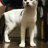 ゆりまゆ 会員画像