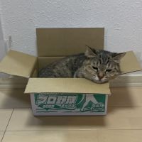 ちー0514 会員画像