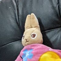 にゃーんちゃん 会員画像