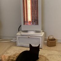 まりも2024 会員画像