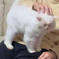 もえ0038 会員画像