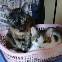 会員画像