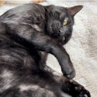 もずく0915さん