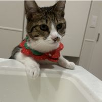 むむとちろさん