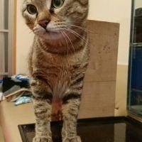 かおる81 会員画像