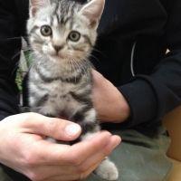 いとふ 会員画像