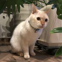 わさび丸 会員画像