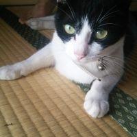 うぱまま 会員画像