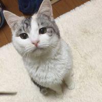 mita 会員画像