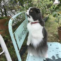 mina115 会員画像
