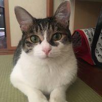 優衣菜 会員画像
