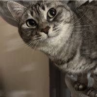 lulu3さん