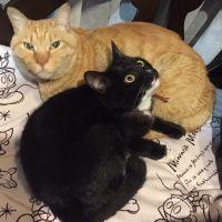 なおとら1961 会員画像