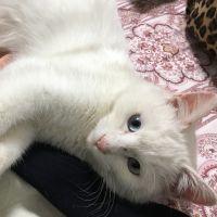 minami.o 会員画像