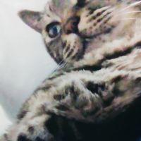 会員画像