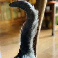 会員画像